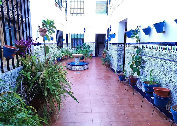 La Casa Del Patio En Pleno San Lorenzo