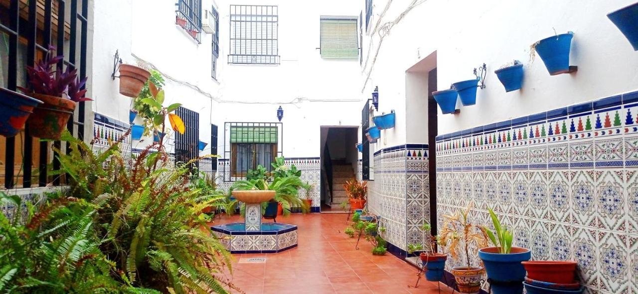 La Casa Del Patio En Pleno San Lorenzo * Córdoba